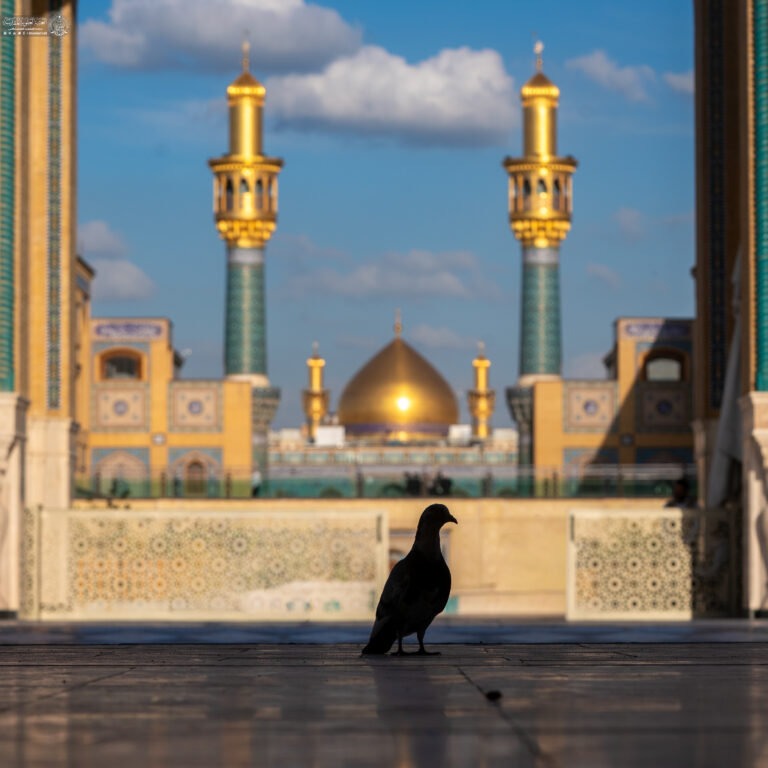 Shafwan bin Mihran pengelola pertama Makam Imam Ali (as)