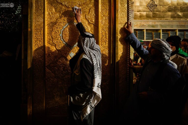 photo_2_2026-02-01_11-54-42