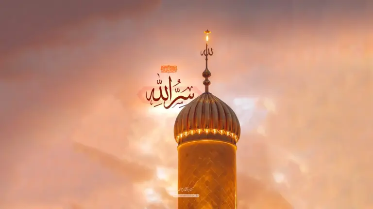 اميرالمؤمنين (علیه‌السلام) «جَنْبِ اللَّه» قرآن است